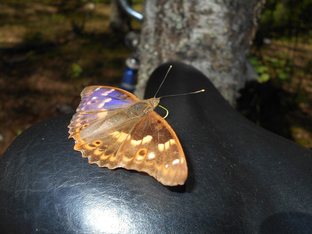 Photograph by Валерий Талейко