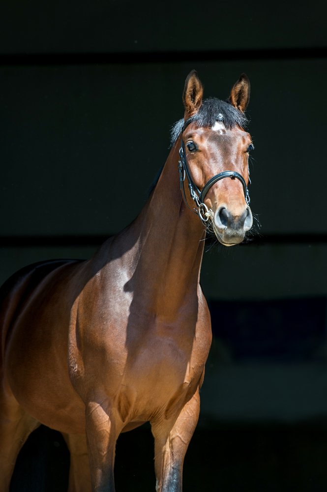 Photograph by Кристина Фарнакеева