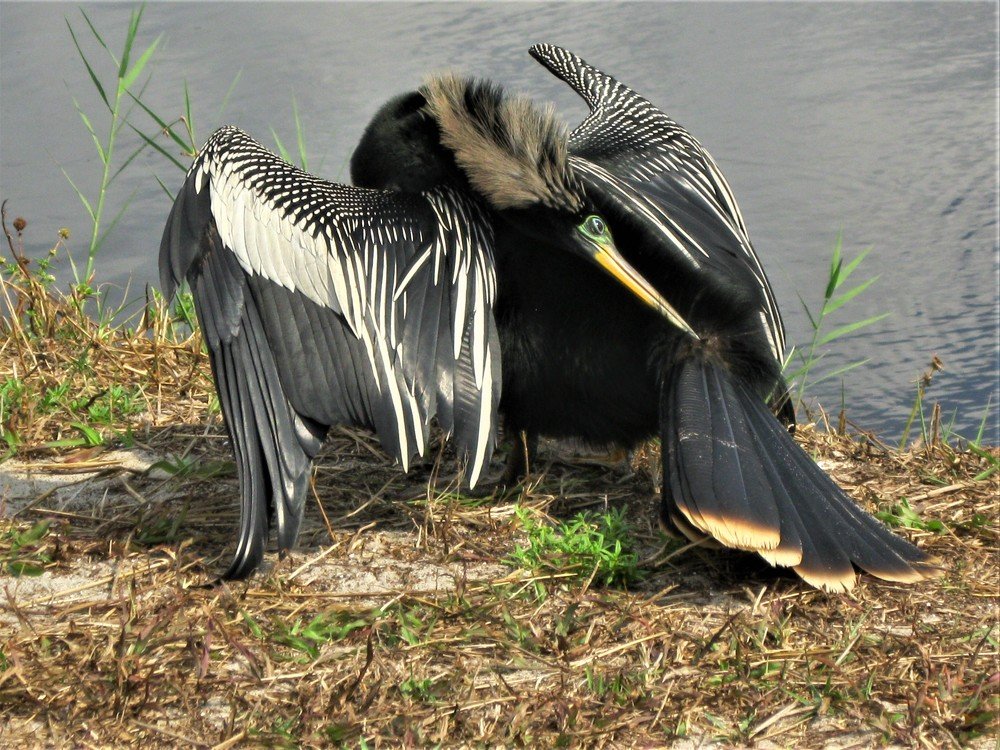 Photograph by Галина