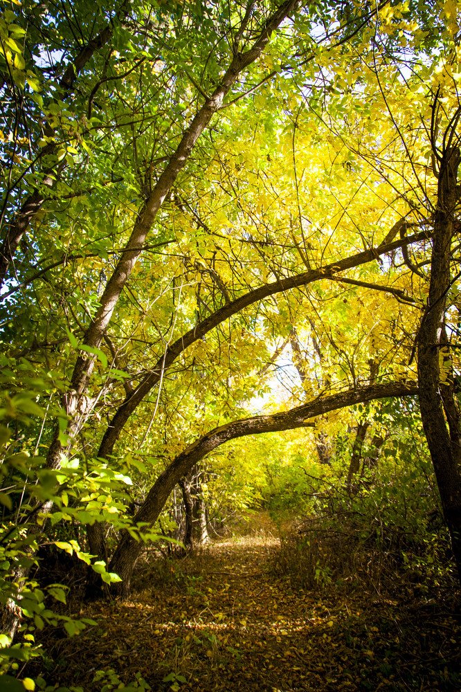 Photograph by Усатый Александр