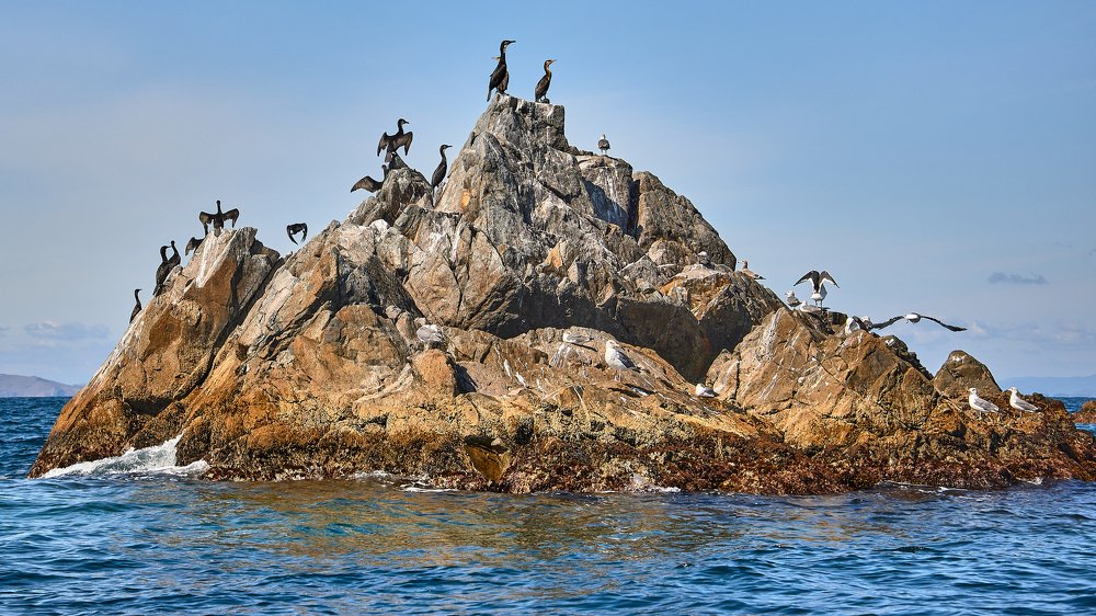 Photograph by Алексей Кисель