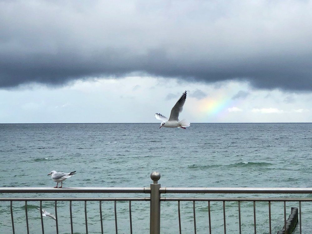 Photograph by Ирина Леонова