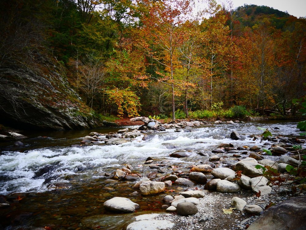 Горная река.