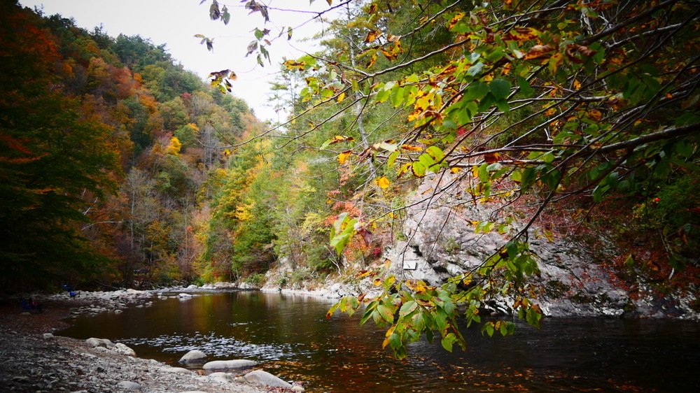 Great Smoky Mountains