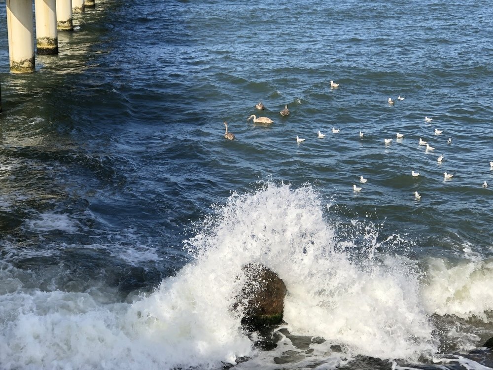 Photograph by Ирина Леонова