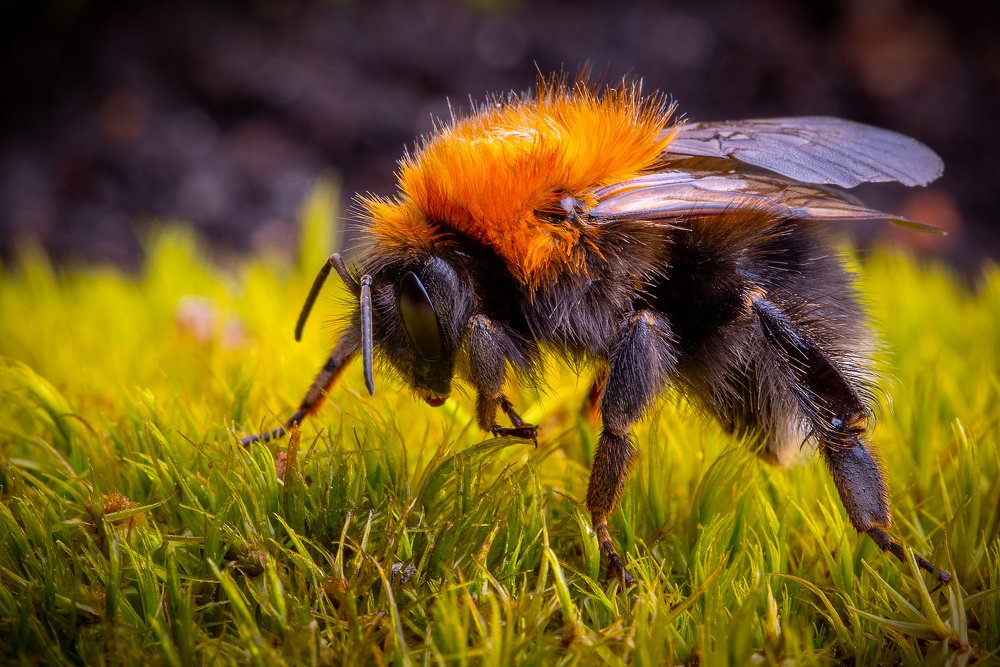 Фотография автора Владислав Жуков