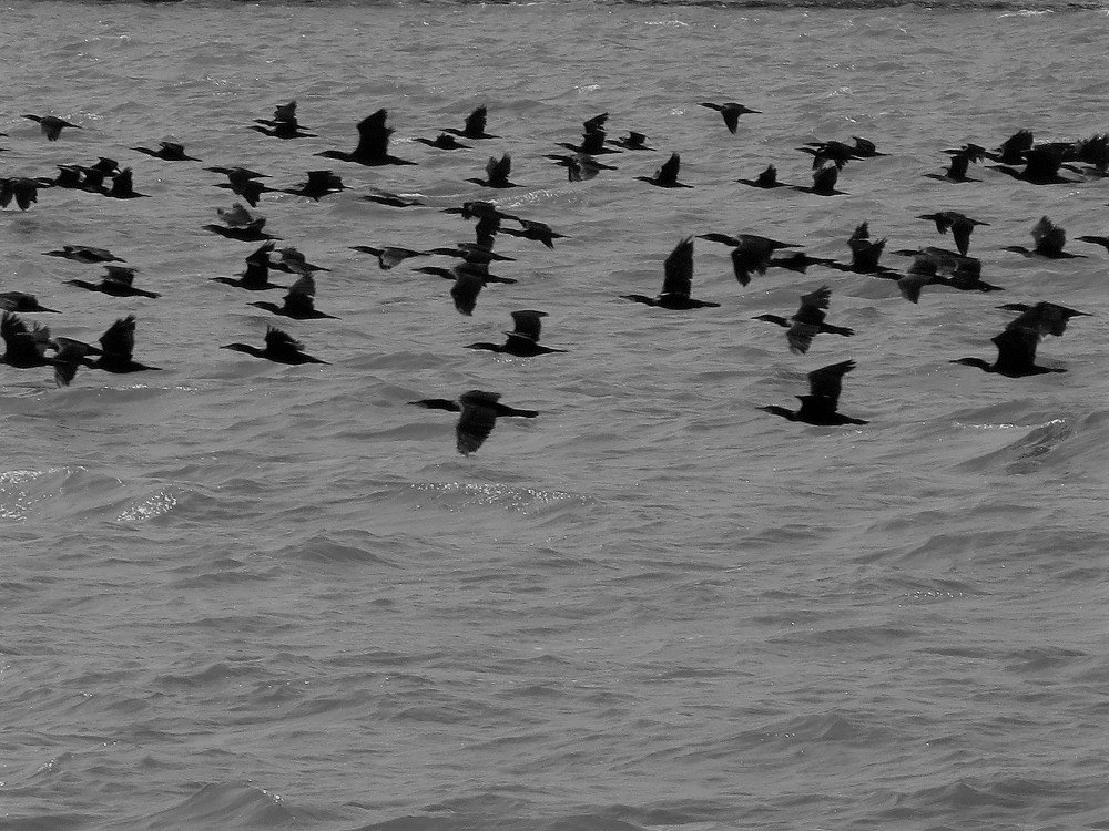 Photograph by Галина