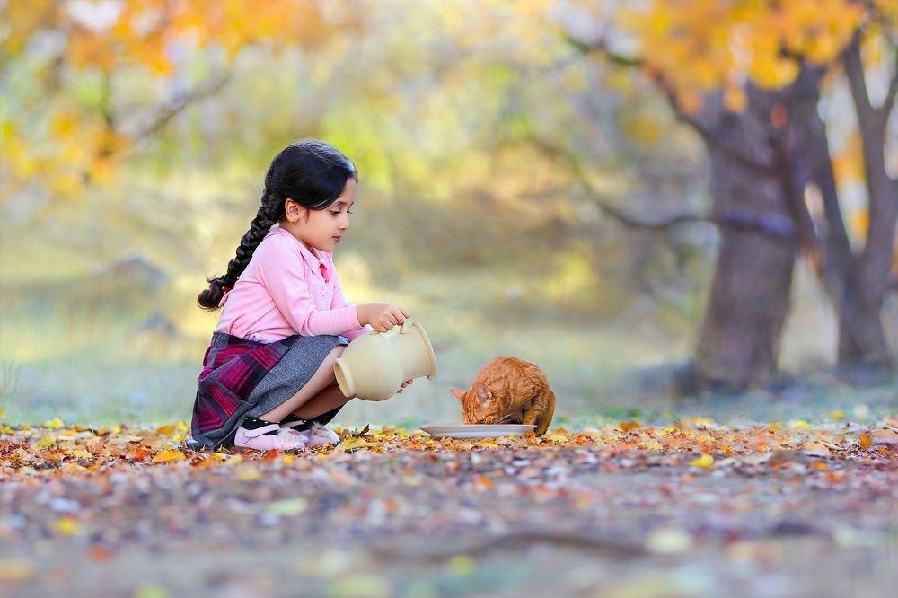 Photograph by mohsen mikaeili