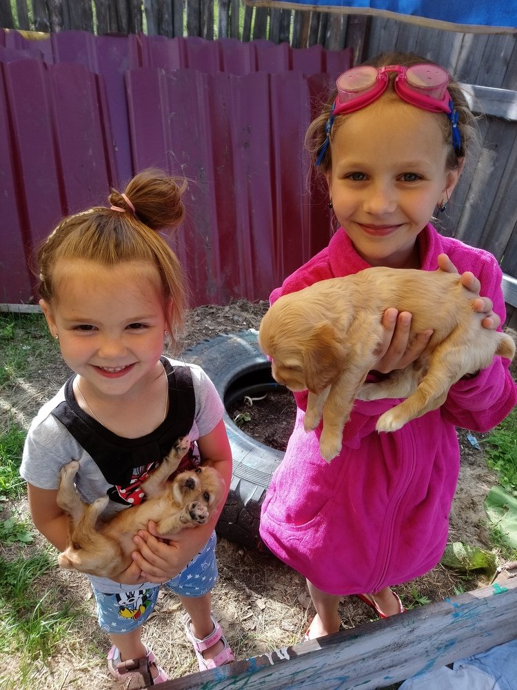 Photograph by Людмила Воропаева