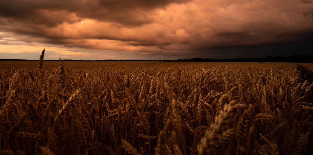 Photograph by Алексей Солоухин