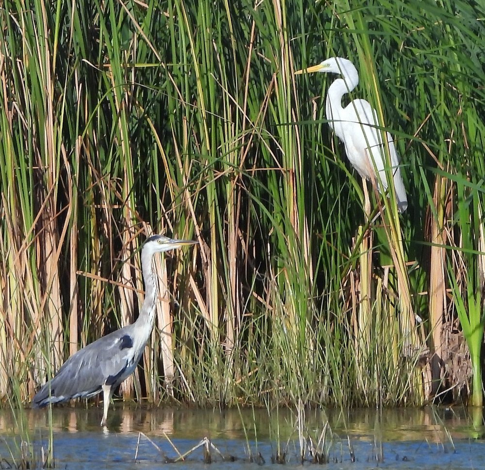 "Разные пути..."