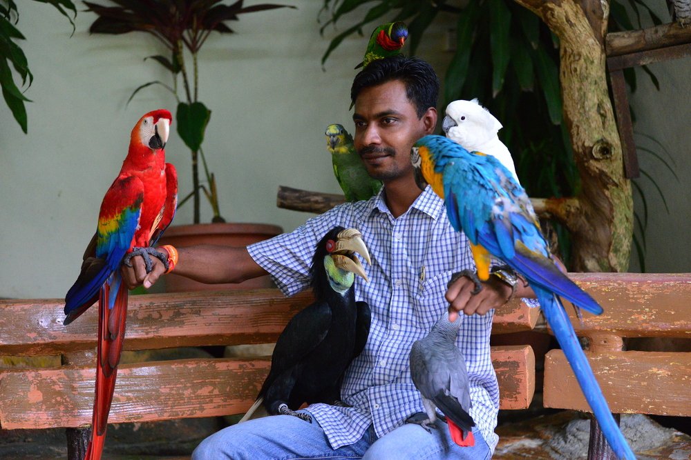 В окружении экзотических птиц
