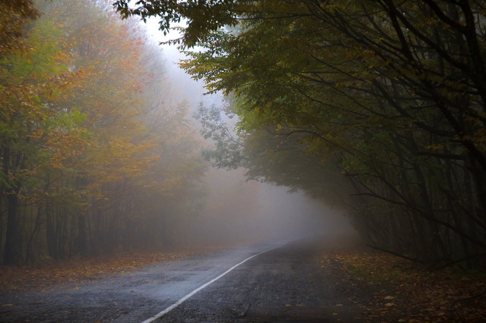 осеннее утро