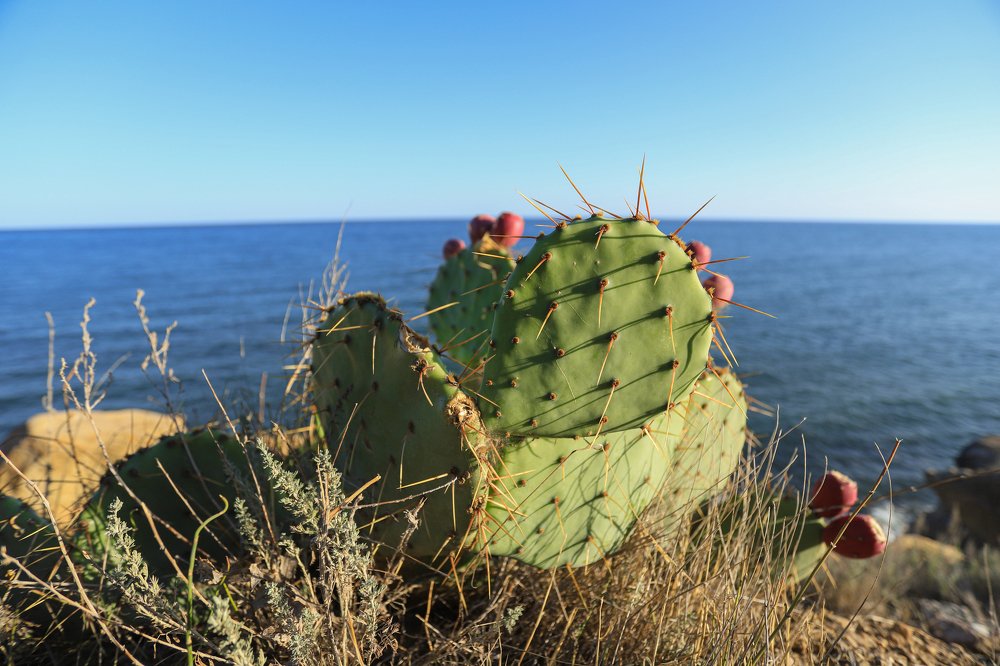 Photograph by Дмитрий Чудинин