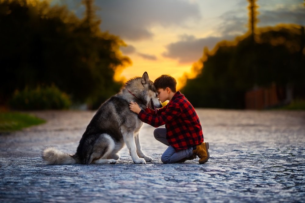 Photograph by Мария Ратушная