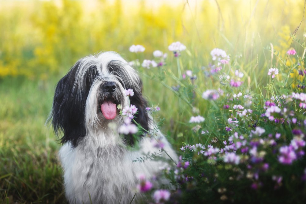 Photograph by Slavica Stajić