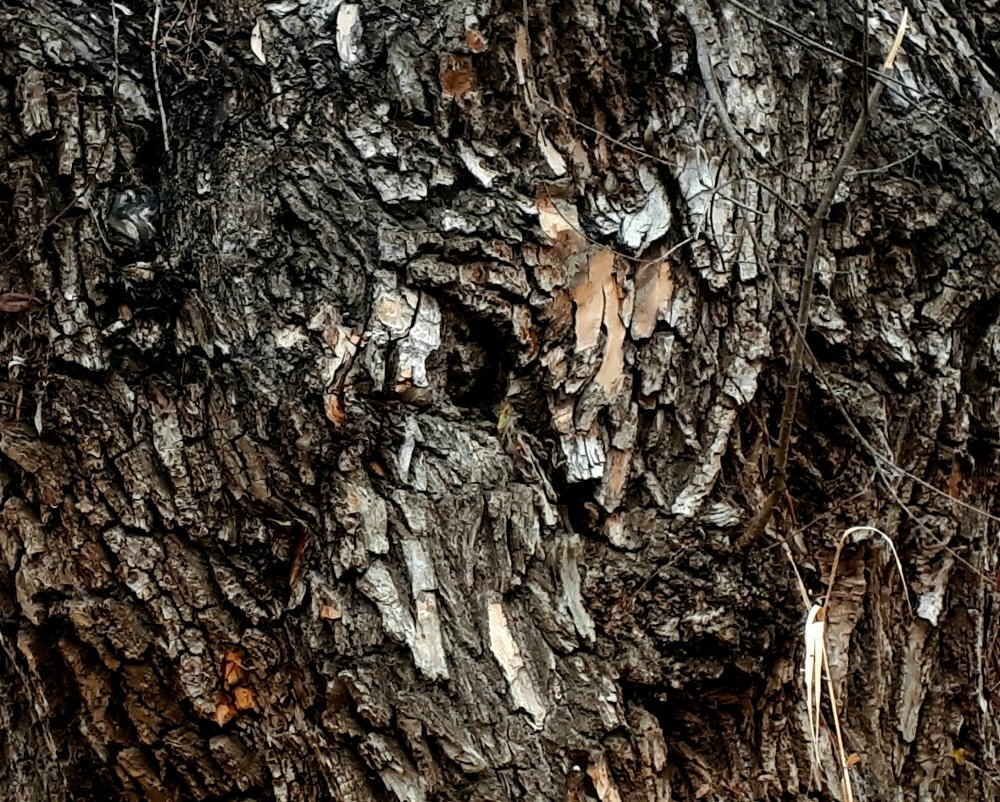 Photograph by Людмила Колеватова