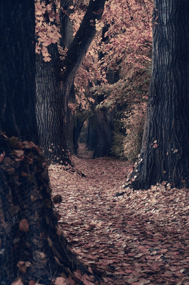 Photograph by Marina Mikhova