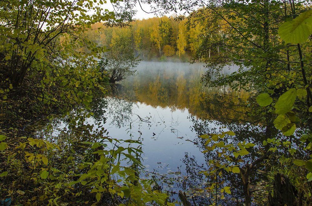 Осень на пруду !
