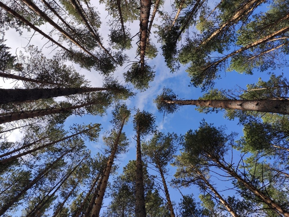 Photograph by Татьяна Панченко