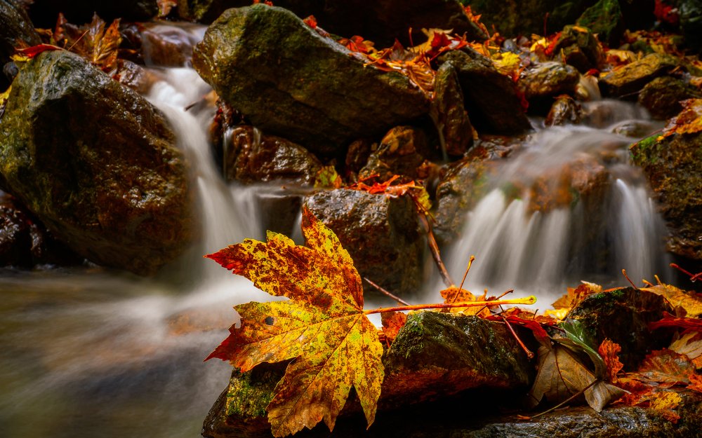 Photograph by Dan Gabriel