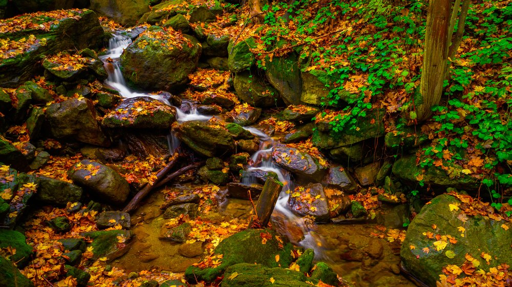 Photograph by Dan Gabriel