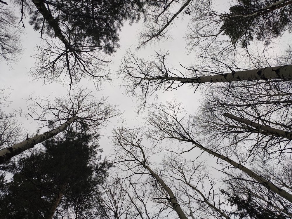 Photograph by Татьяна Панченко