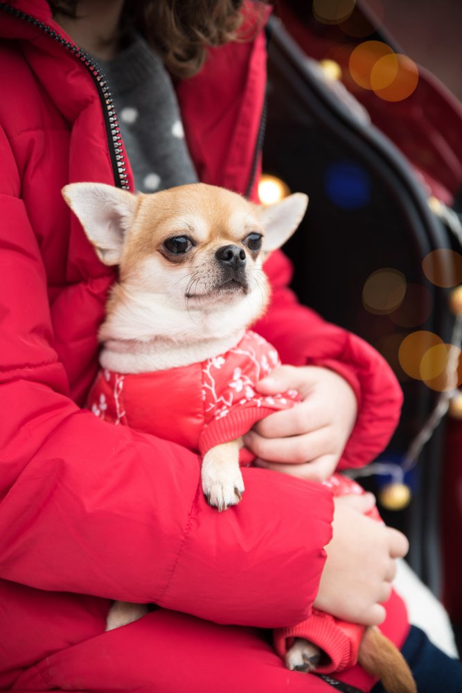 Photograph by Виктория Кондратьева