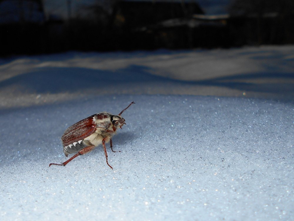 Photograph by Валерий Талейко