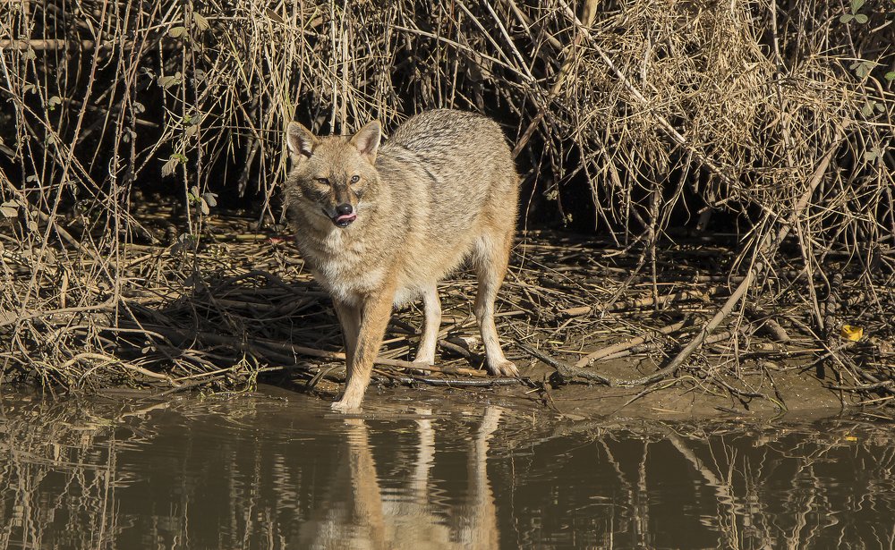Photograph by Валентина Лопаткина