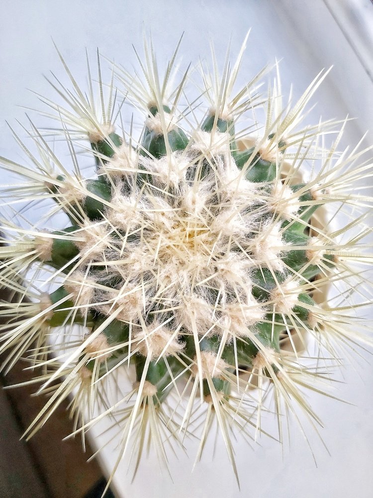 Photograph by Марина Савченко