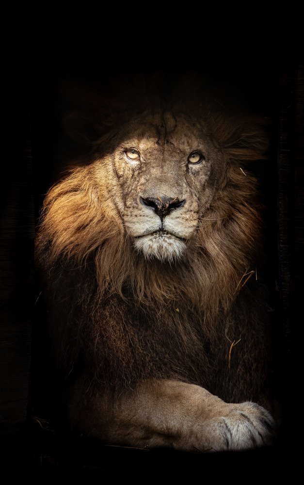 Photograph by Raheel Azim