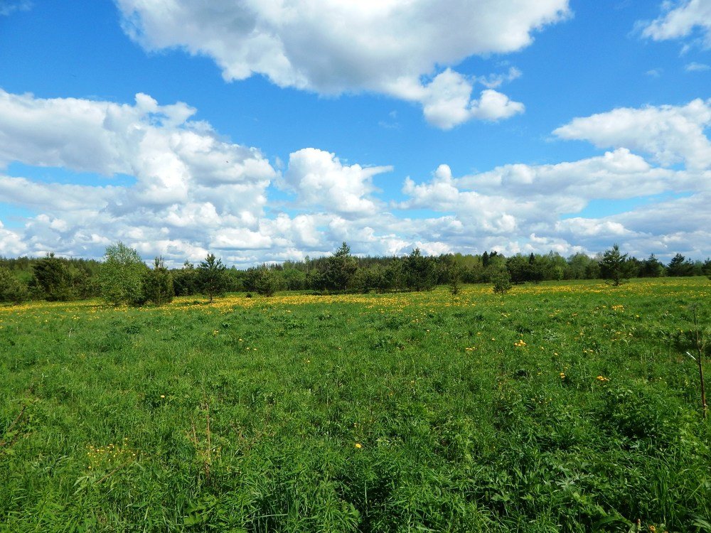 Photograph by Светлана