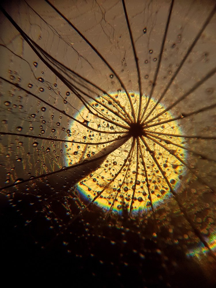 Photograph by Татьяна Пименкова