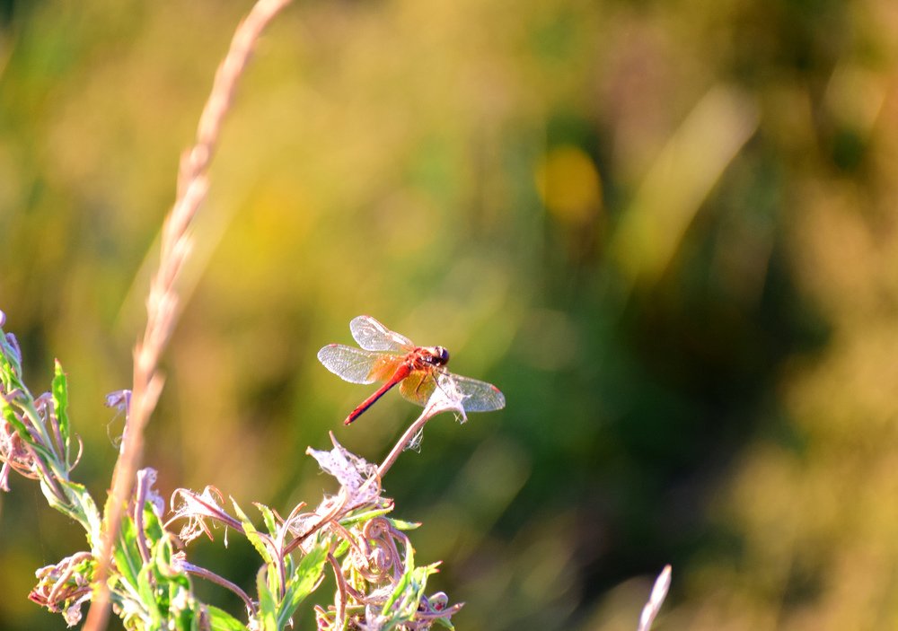 Photograph by Татьяна Дорожко