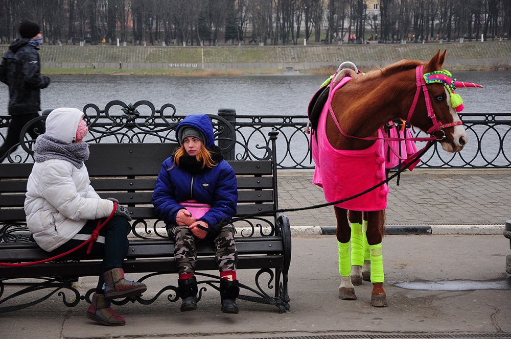 Photograph by Анатолий Смирнов