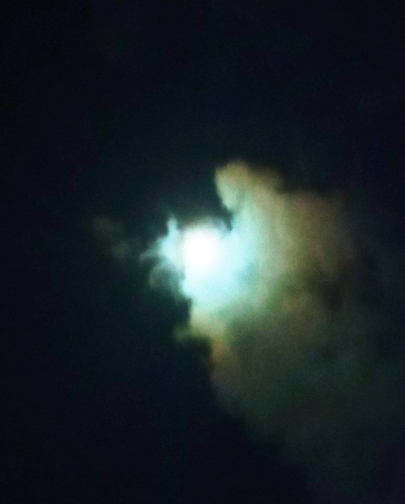 Photograph by Ahammed Shamim