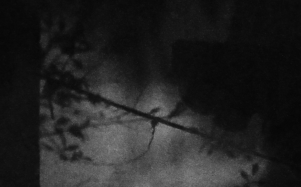 Photograph by Ahammed Shamim