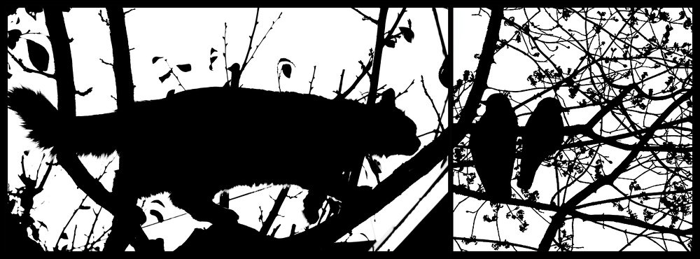 Photograph by Евгения Гудкова