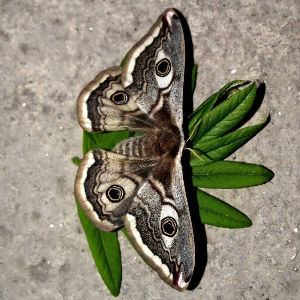 Photograph by Татьяна Дорожко