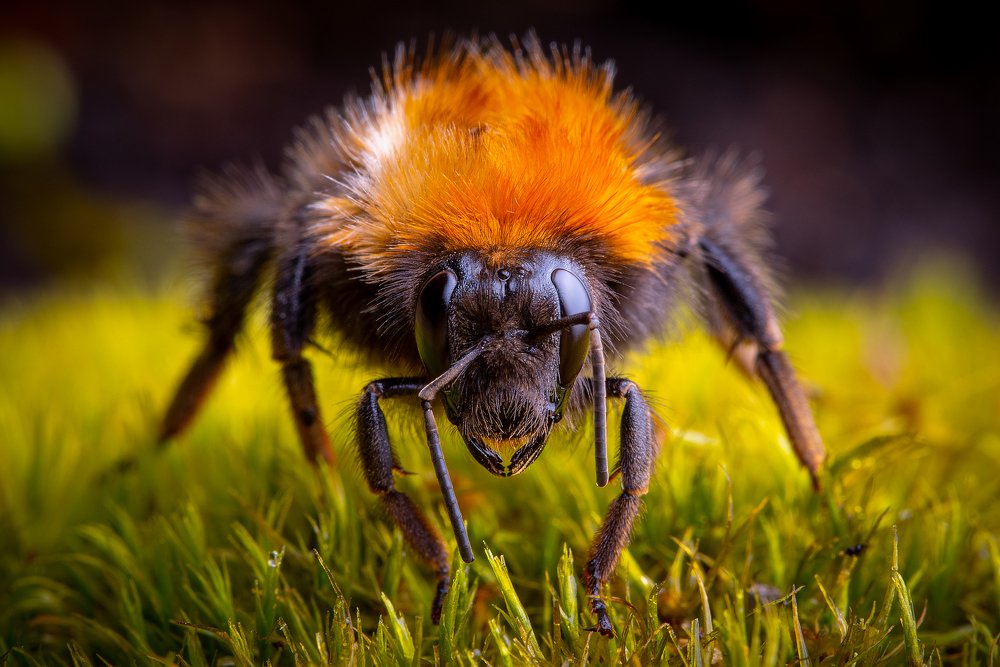 Фотография автора Владислав Жуков
