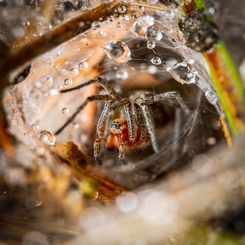 Фотография автора Владислав Жуков