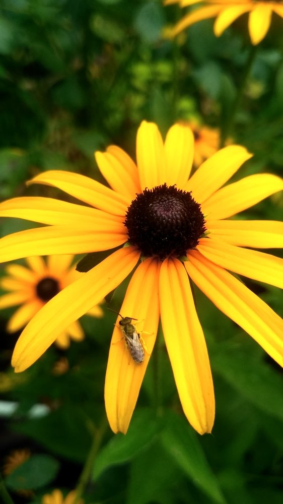 Photograph by Виктория Данилова