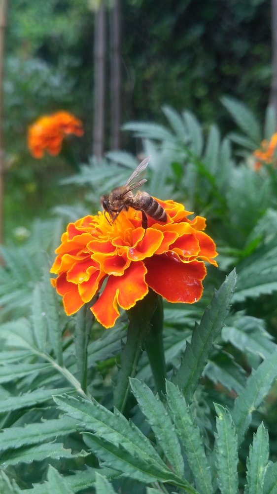 Photograph by Виктория Данилова