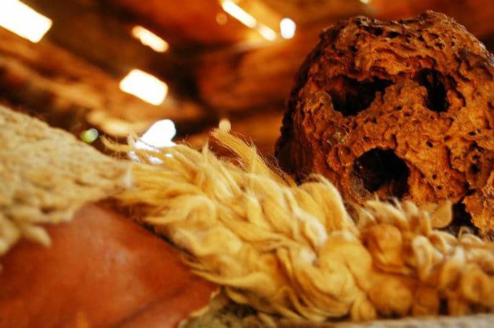 Photograph by Irina Magdalena Bivolaru