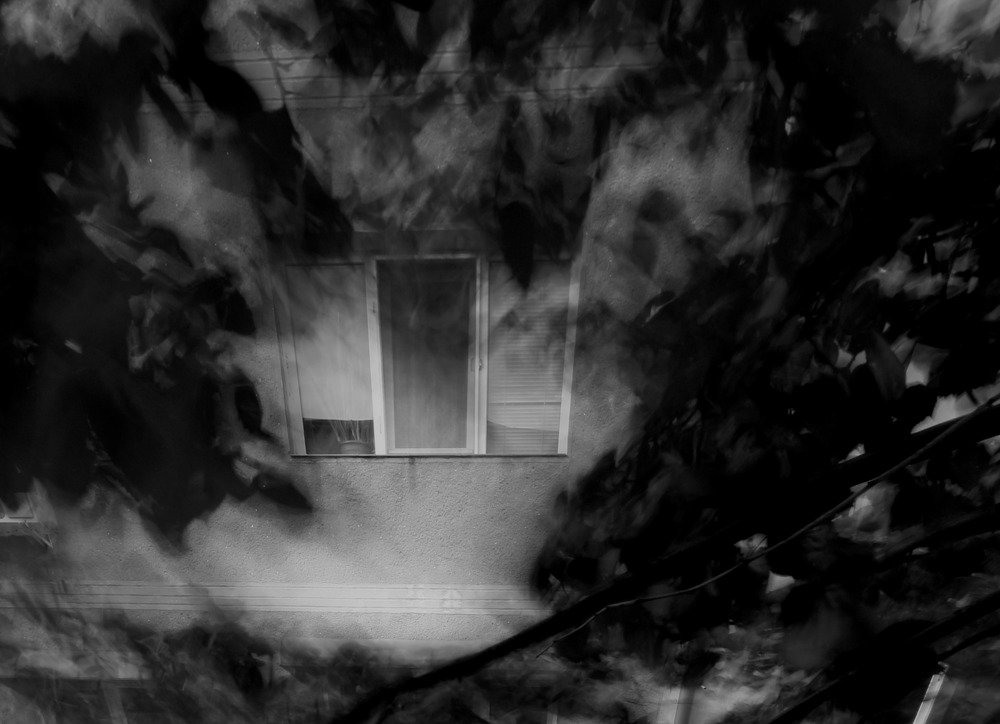 Photograph by Irina Magdalena Bivolaru