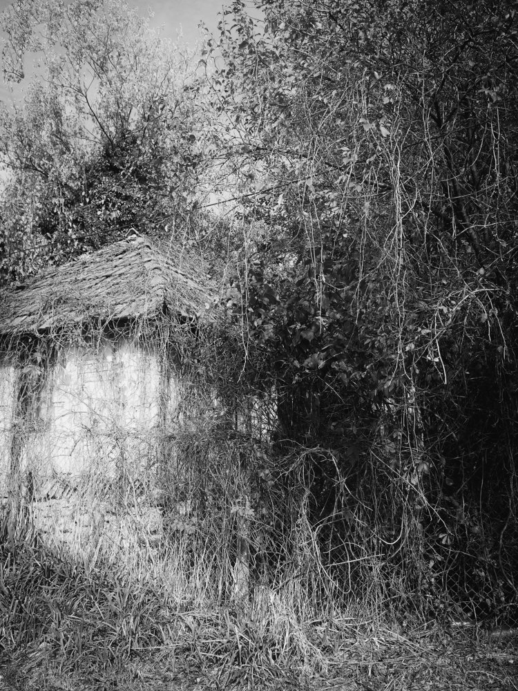 Photograph by Irina Magdalena Bivolaru