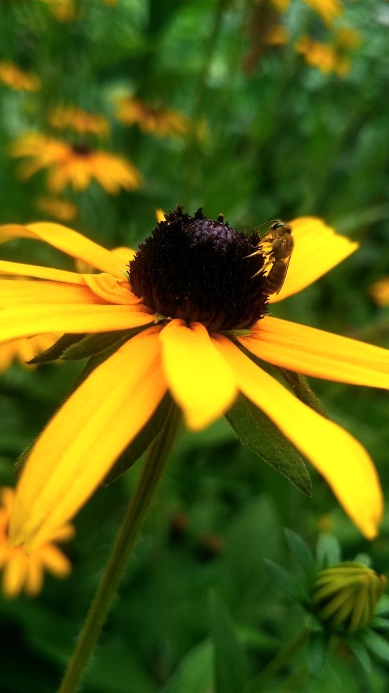 Photograph by Виктория Данилова