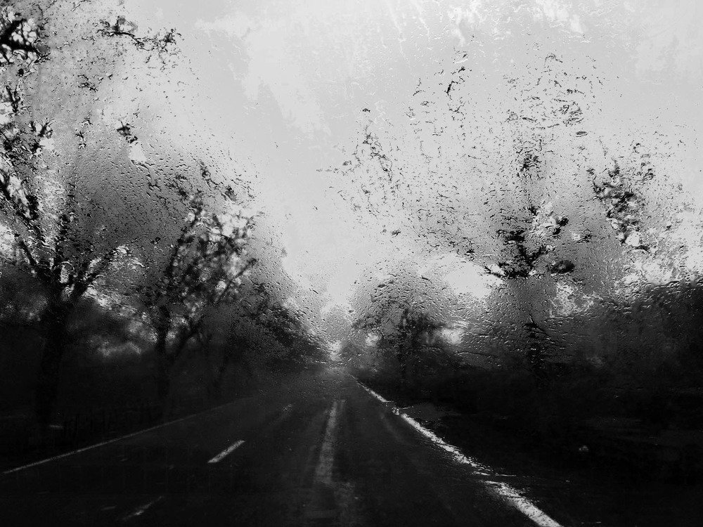 Photograph by Irina Magdalena Bivolaru