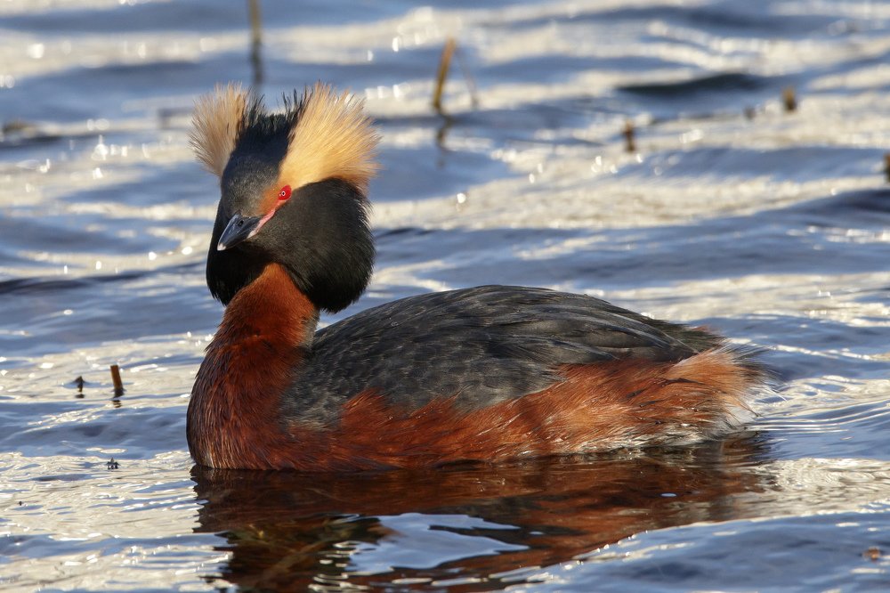Photograph by Алексей Прокопенков